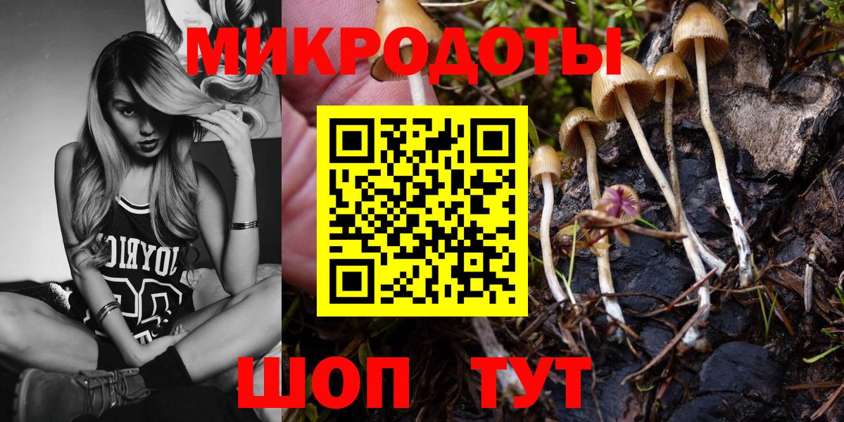 Псилоцибиновые грибы ЛСД Мурманск