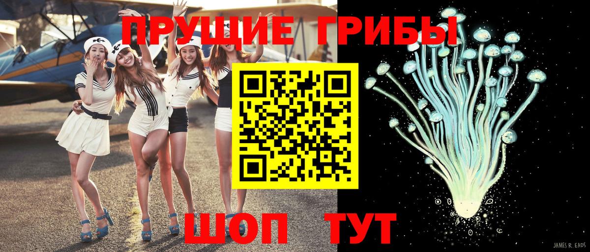 Галлюциногенные грибы Psilocybe  Вход с VPN  Мурманск  Галлюциногенные грибы Magic Shrooms 